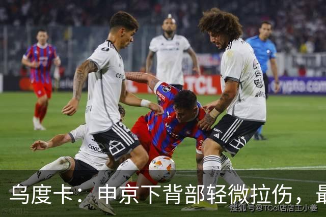 乌度卡：申京下背部轻微拉伤，最多缺席几场