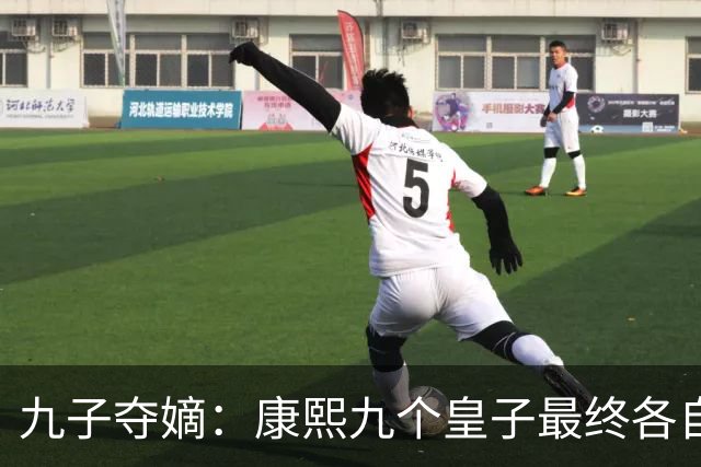 九子夺嫡：康熙九个皇子最终各自下场