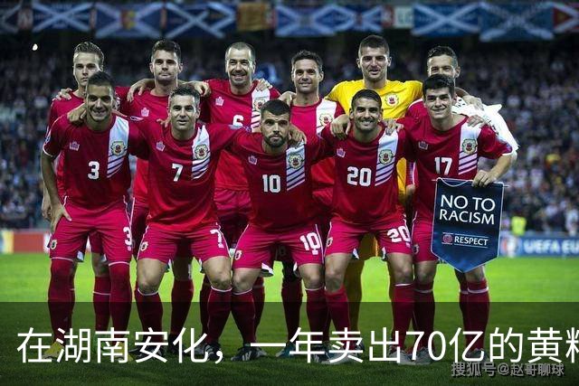 在湖南安化，一年卖出70亿的黄精，到底哪些人在买