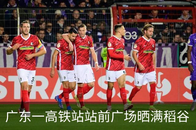 广东一高铁站站前广场晒满稻谷“治愈风”拉满，当地回应：不影响运行即可晾晒