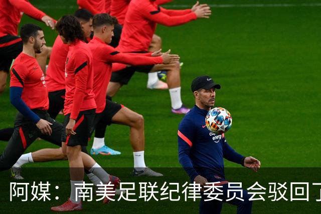 阿媒：南美足联纪律委员会驳回了弗拉门戈关于罗霍参赛资格的申诉